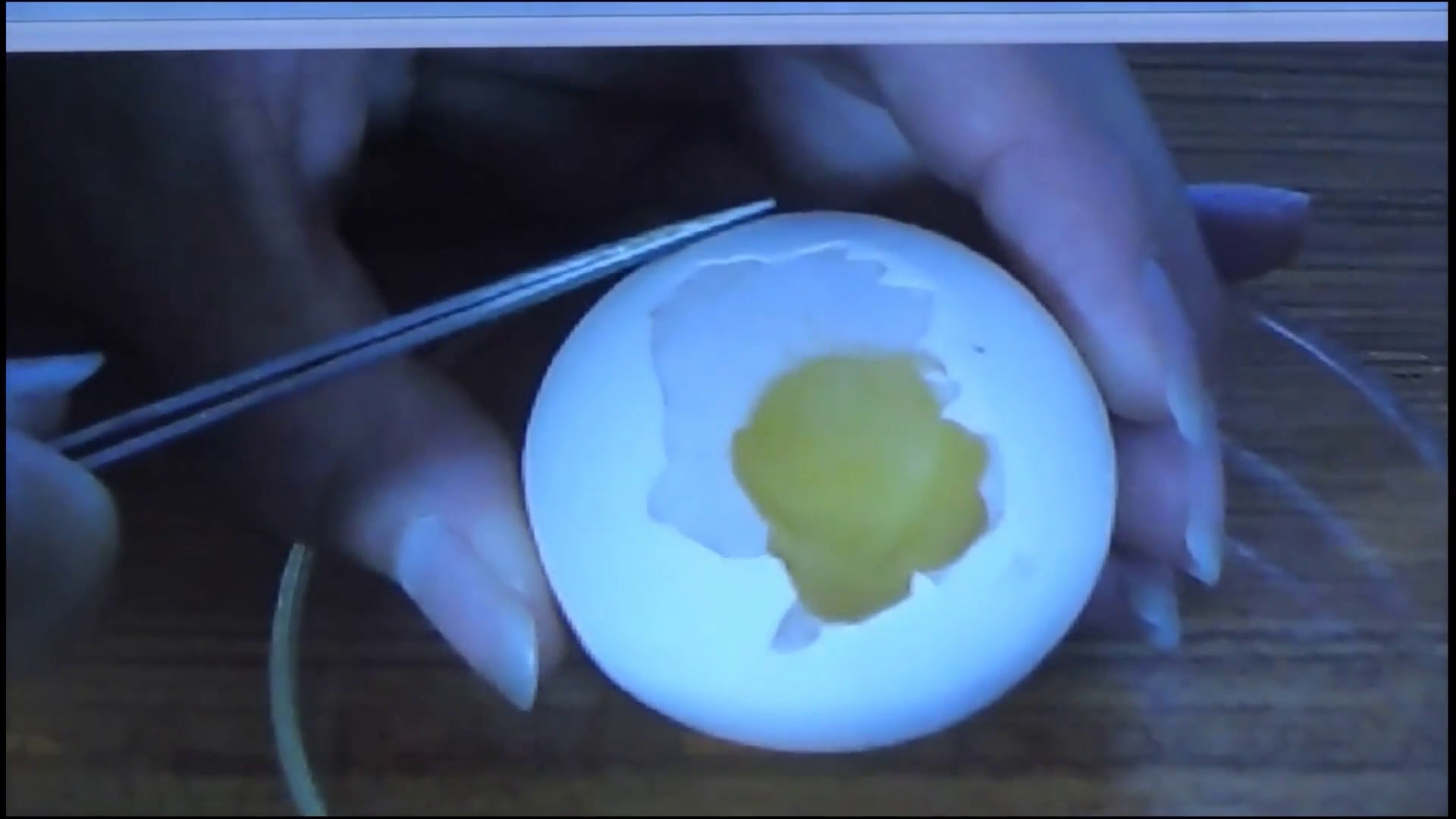 2.初中生物人教2011版八下《第四节鸟的生殖和发育》全国一等奖