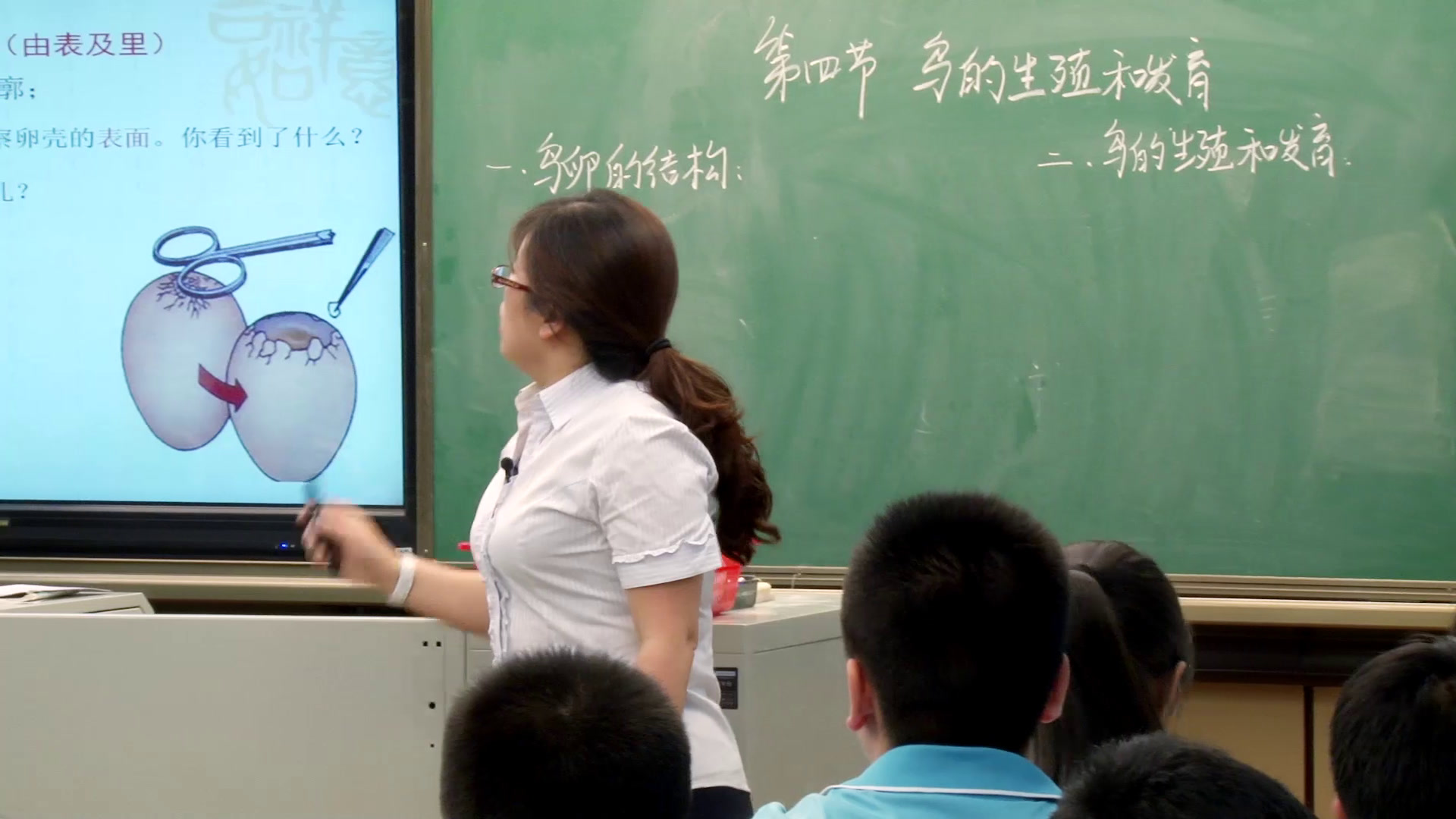 4.初中生物人教2011版八下《第四节鸟的生殖和发育》陕西省省一等奖