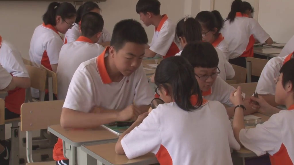 6.初中生物人教2011版八下《科学·技术·社会…》辽宁省市一等奖