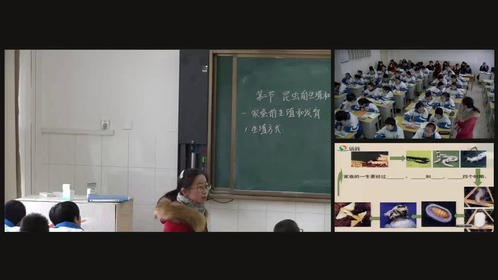 5.初中生物人教2011版八下《第二节昆虫的生殖和发育》甘肃省省一等奖