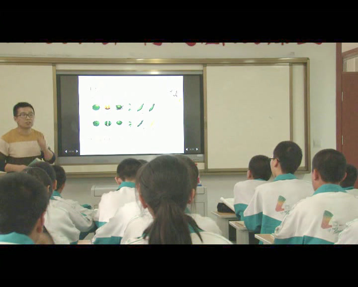 3.初中生物人教2011版八下《第三节基因的显性和隐性》全国一等奖
