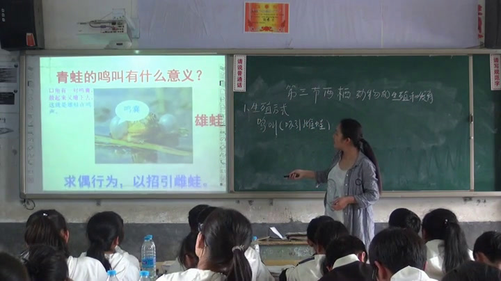 初中生物人教2011版八上《第三节两栖动物�…》全国一等奖1