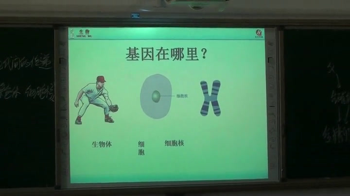 初中生物人教2011版八上《第二节基因在亲�…》内蒙古省一等奖