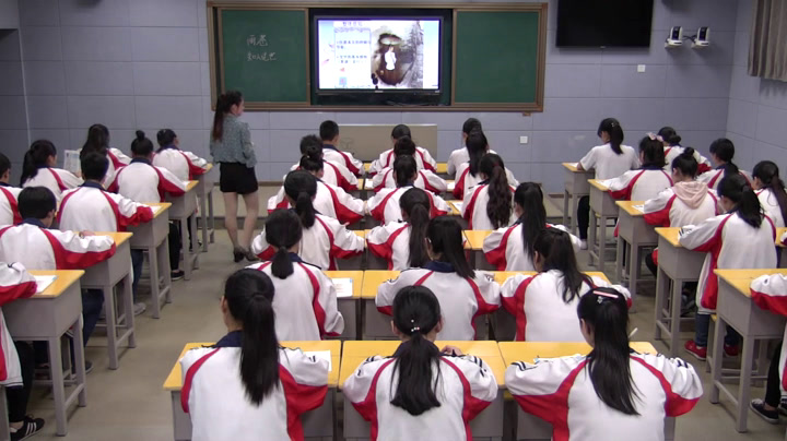 2.人教版语文必修1《雨巷》湖南省省一等奖