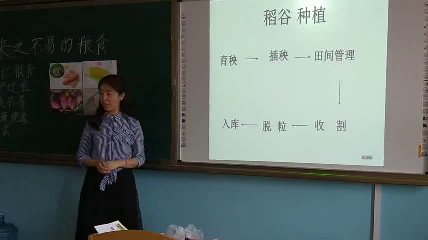 1.小学综合实践活动3-6年级《10.来之不易的粮食》内蒙古省一等奖