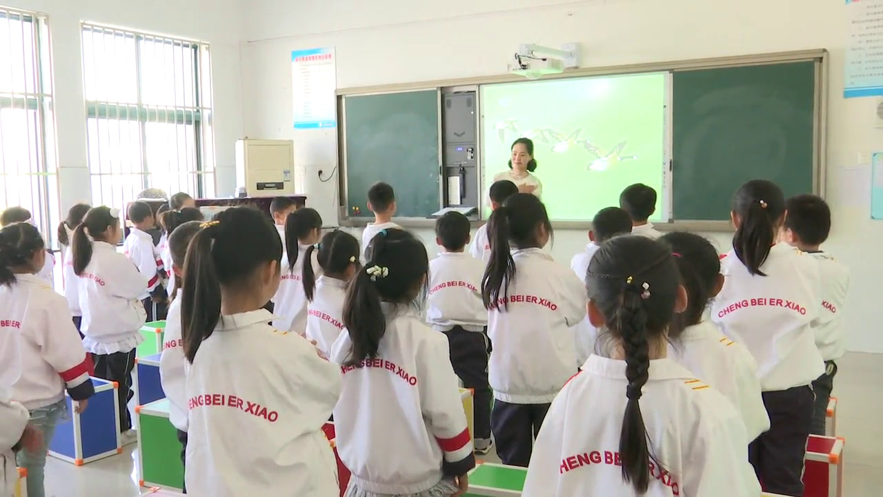 2.人音版音乐（吴斌主编）一下《雁群飞》安徽省市一等奖