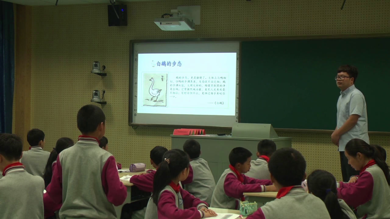 人教版语文四上《14　白公鹅》浙江骆老师-全国一等奖