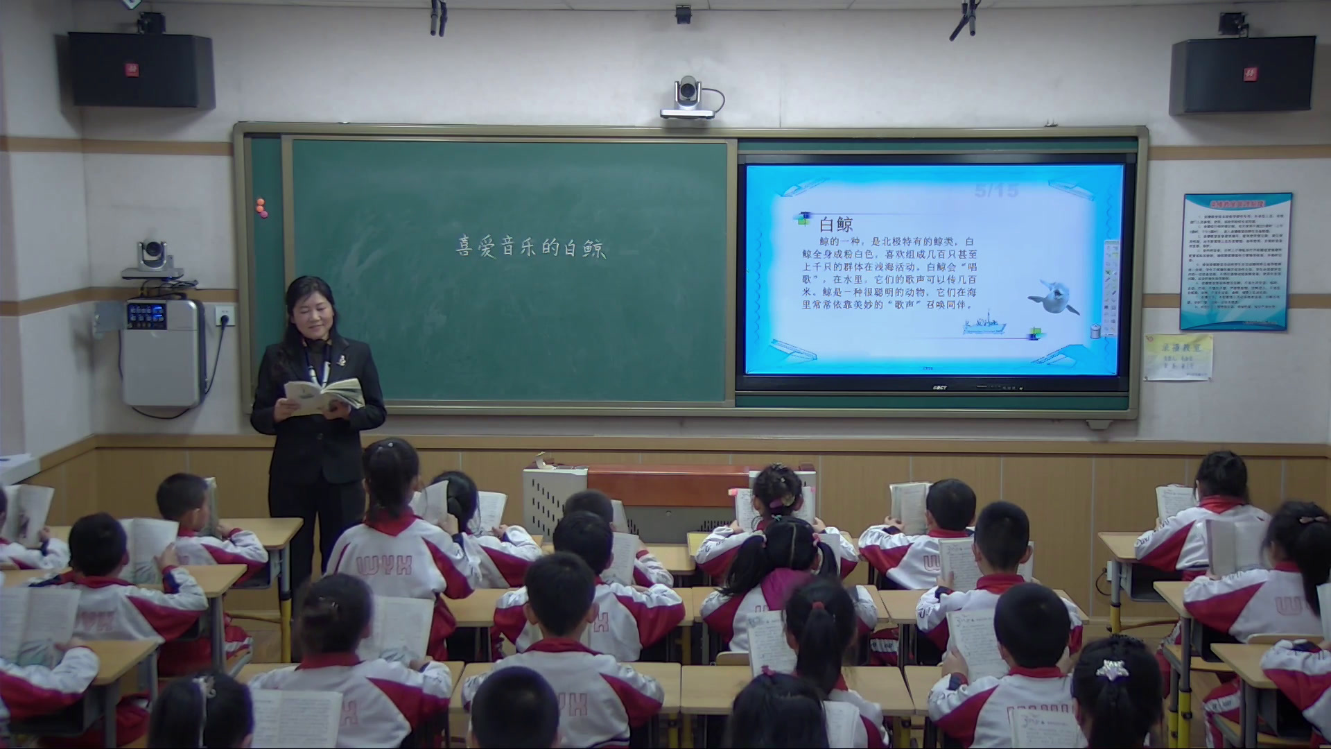 人教版语文三上《7　喜爱音乐的白鲸》辽宁尤老师-市一等奖