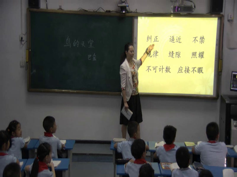 人教版语文四上《3　鸟的天堂》湖北张老师-市一等奖