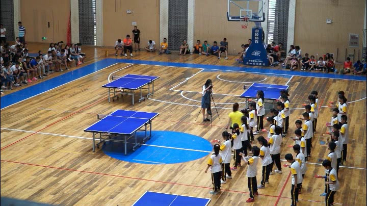 人教2011版体育与健康三至四年级《1.握拍方法、准备姿势和击球部位》湖北省市一等奖