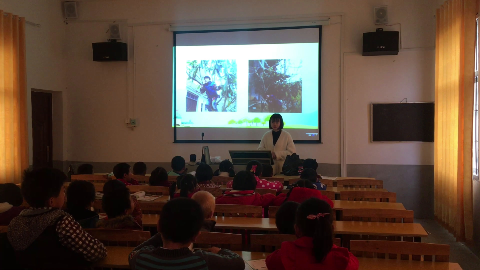 教科版科学一上《1.我们知道的植物》湖南老师-县级优课