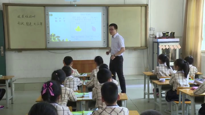 教科版科学一上《4.这是谁的叶》广西林老师-全国一等奖