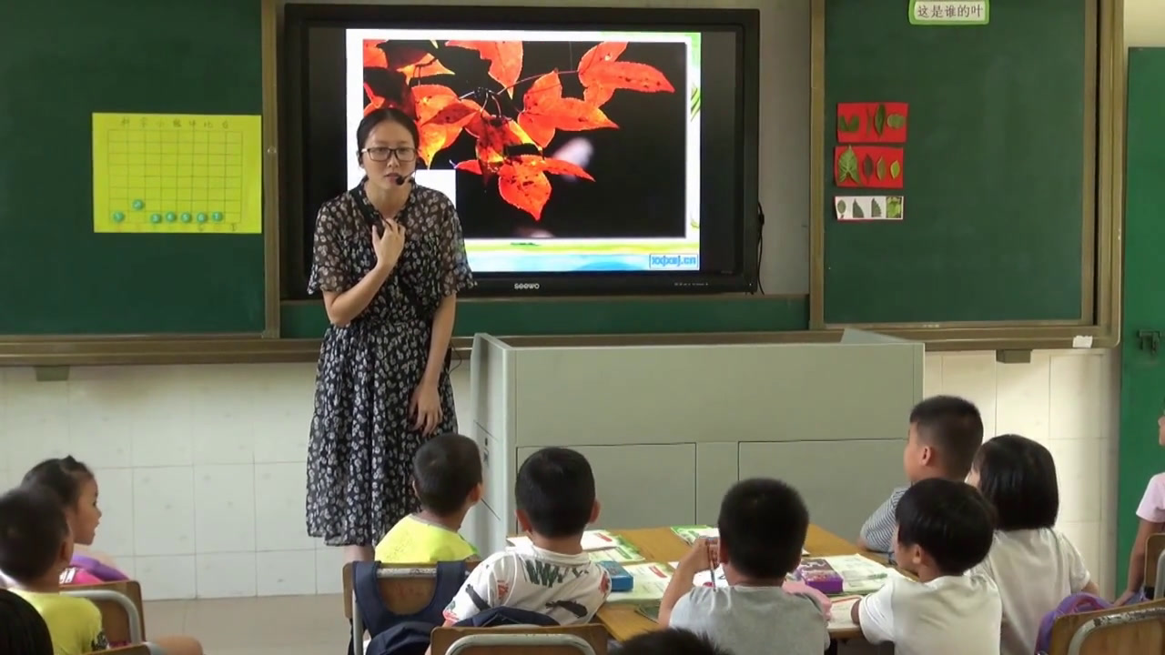 教科版科学一上《4.这是谁的叶》广东老师-县级优课