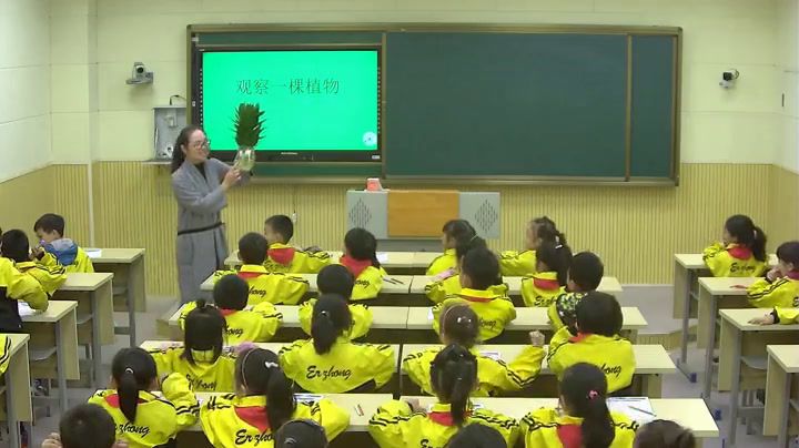 教科版科学一上《2.观察一棵植物》江西樊老师-市一等奖