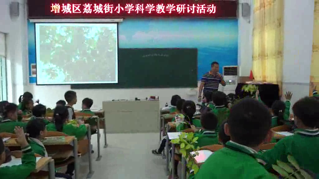 教科版科学一上《6.校园里的植物》广东老师-市一等奖