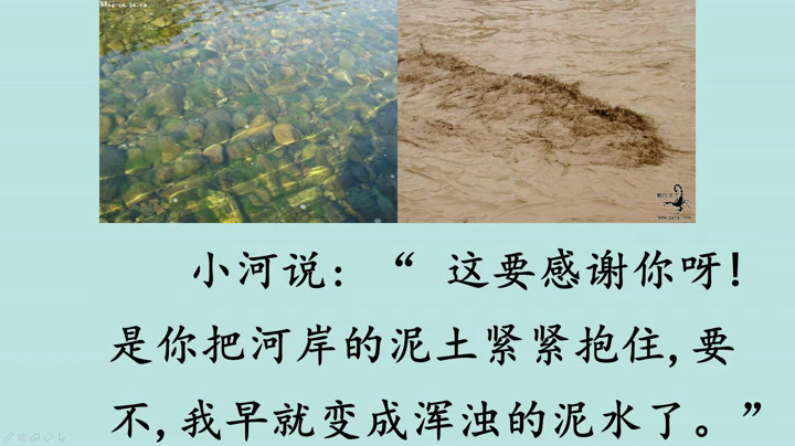 苏教版语文一上《12小河与青草》江苏陆老师-市一等奖