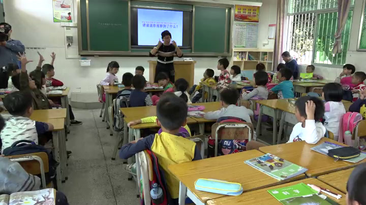 教科版科学一上《1.在观察中比较》广东董老师-市一等奖