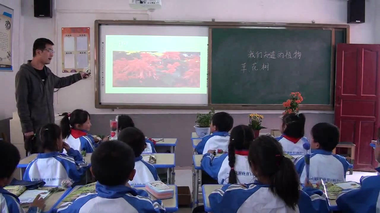 教科版科学一上《1.我们知道的植物》安徽老师-市一等奖