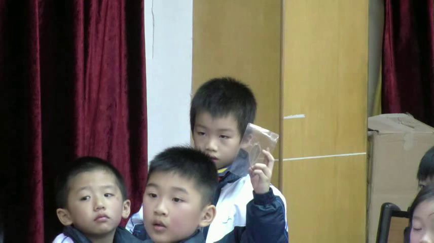 教科版科学一上《4.这是谁的叶》广东周老师-市一等奖
