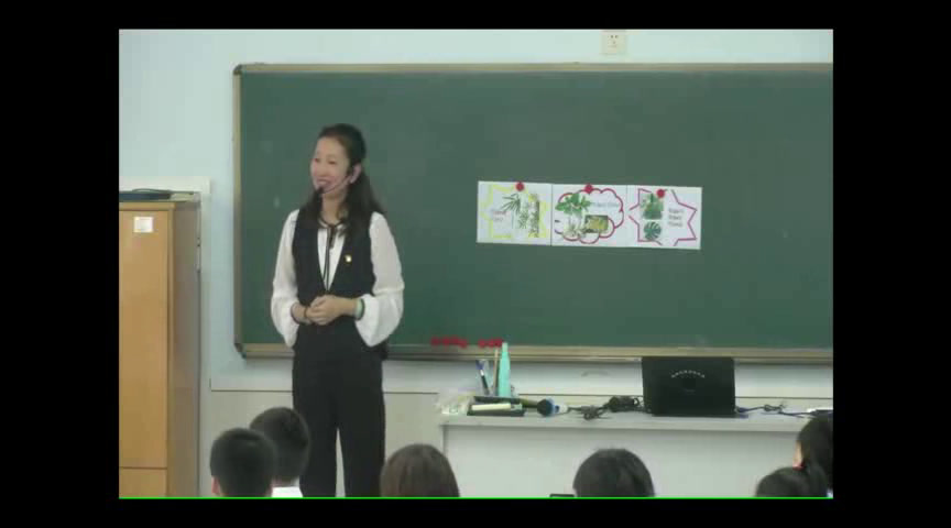 教科版科学一上《3.观察叶》广东彭老师-全国一等奖