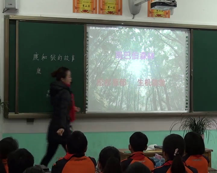 人教版语文六上《14　鹿和狼的故事》贵州廖老师-省一等奖
