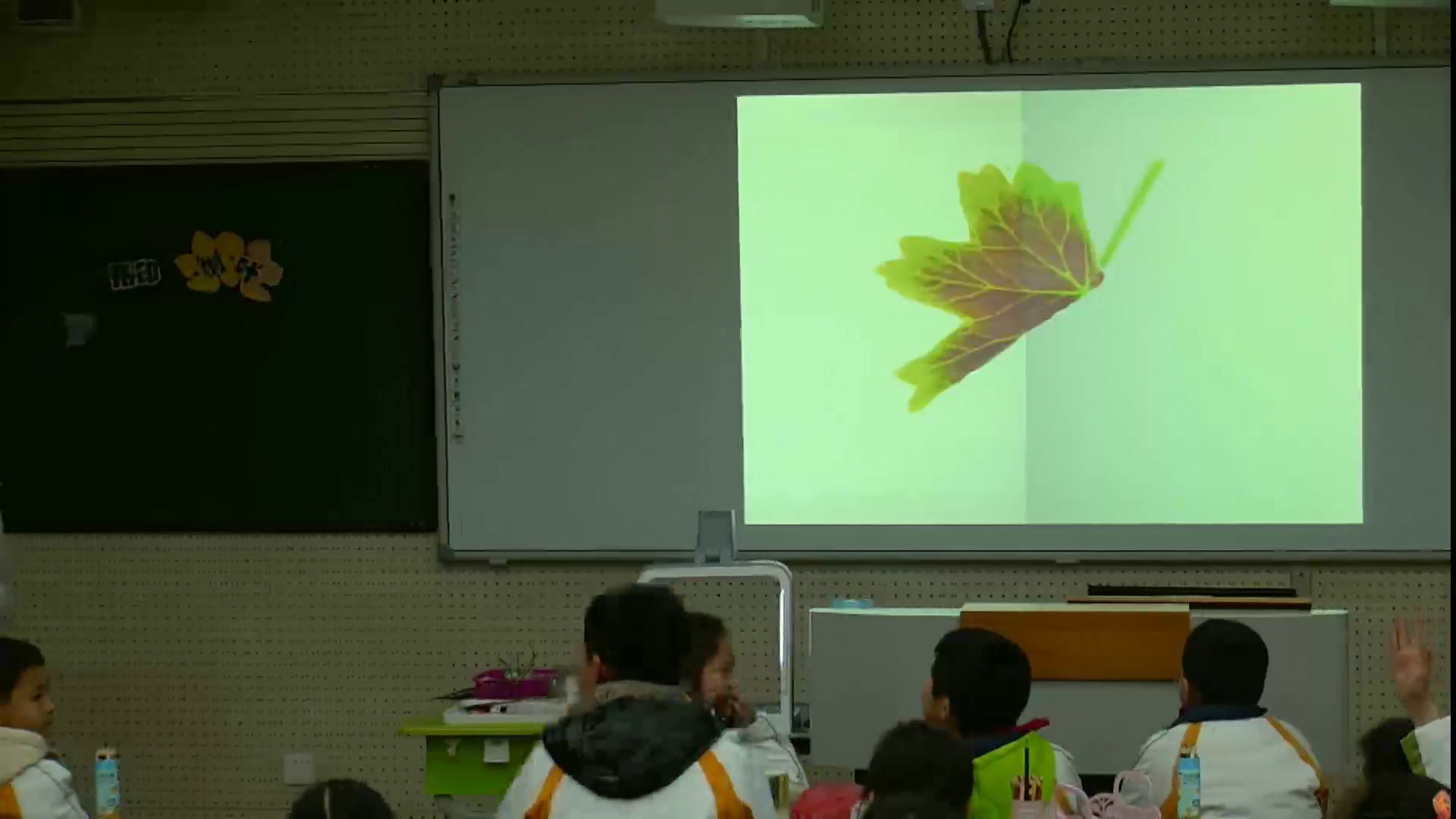 人美2011版美术三上《拓印树叶真有趣》江苏须老师-市一等奖