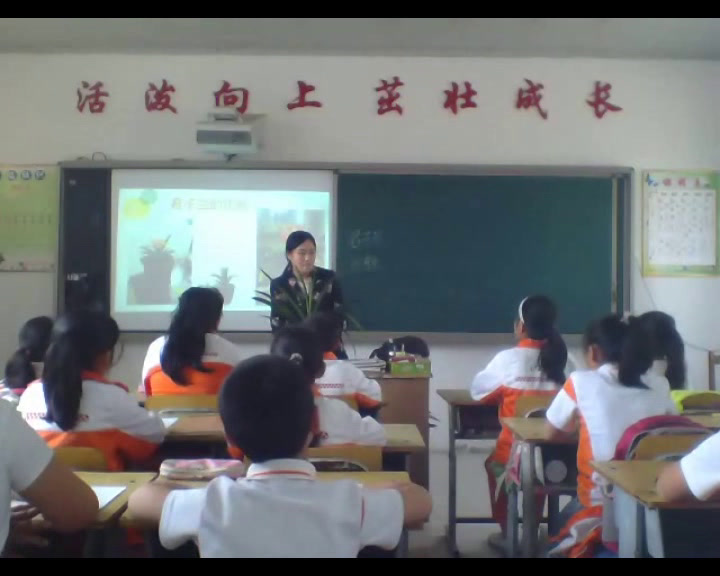 人美2011版美术三上《君子兰》吉林黄老师-市一等奖