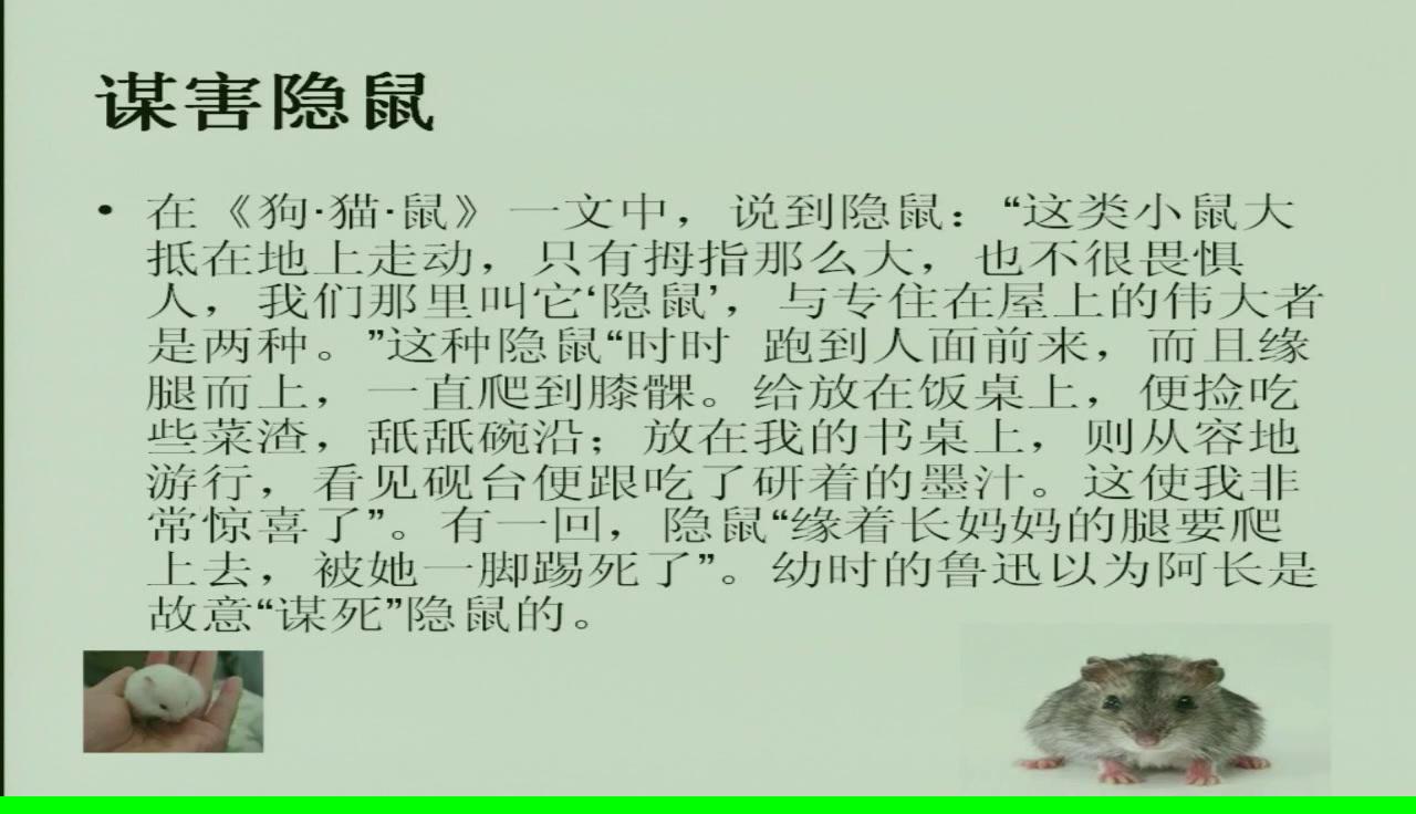 人教版初中语文七上《《朝花夕拾》消除与经典的隔膜》广东骆老师-全国一等奖