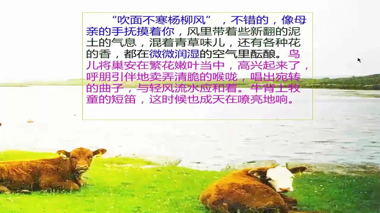 人教版初中语文七上《热爱生活，热爱写作》陕西席老师-全国一等奖