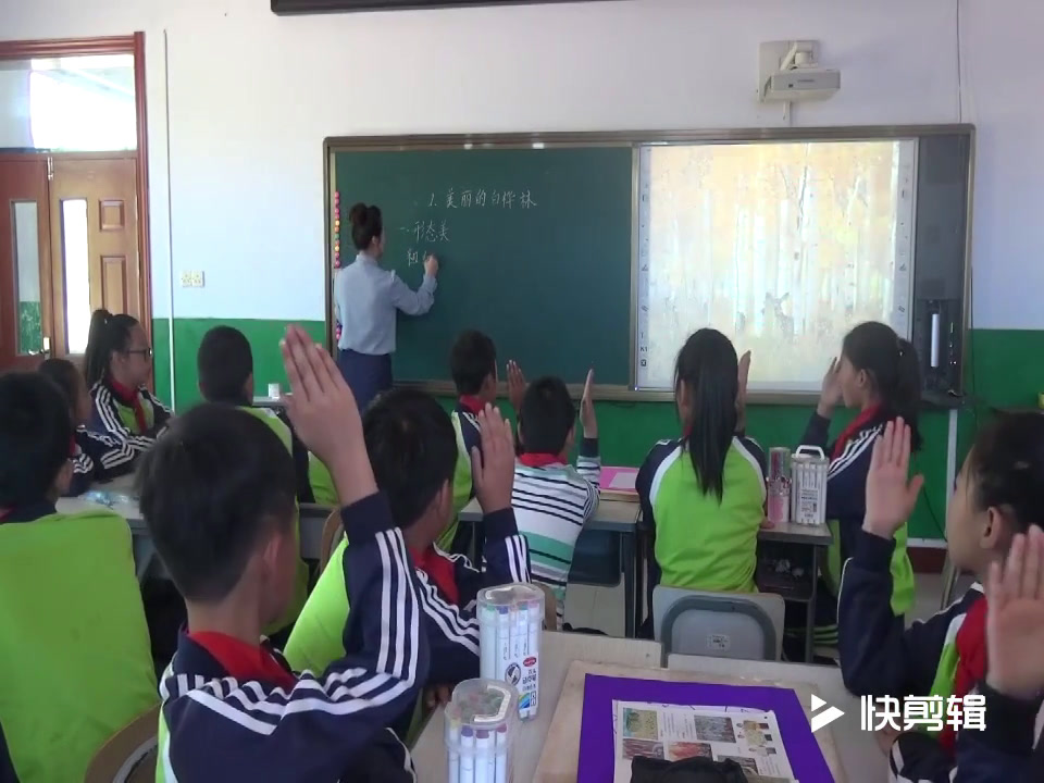 人美2011版美术五上《第1课美丽的白桦林》吉林王老师-市一等奖
