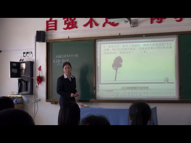 北师大版数学八上《复习题》辽宁郭老师-市一等奖
