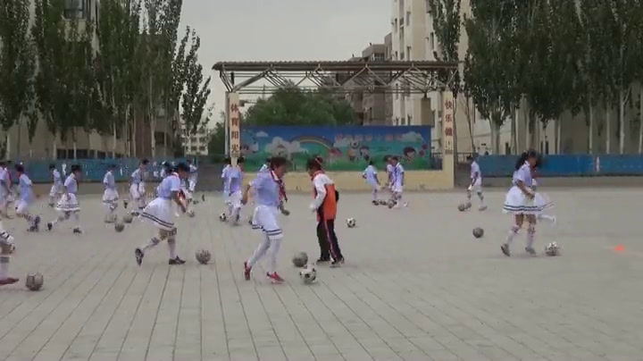 人教2011版体育与健康五至六年级《4.脚背外侧传球及，》甘肃老师-市一等奖
