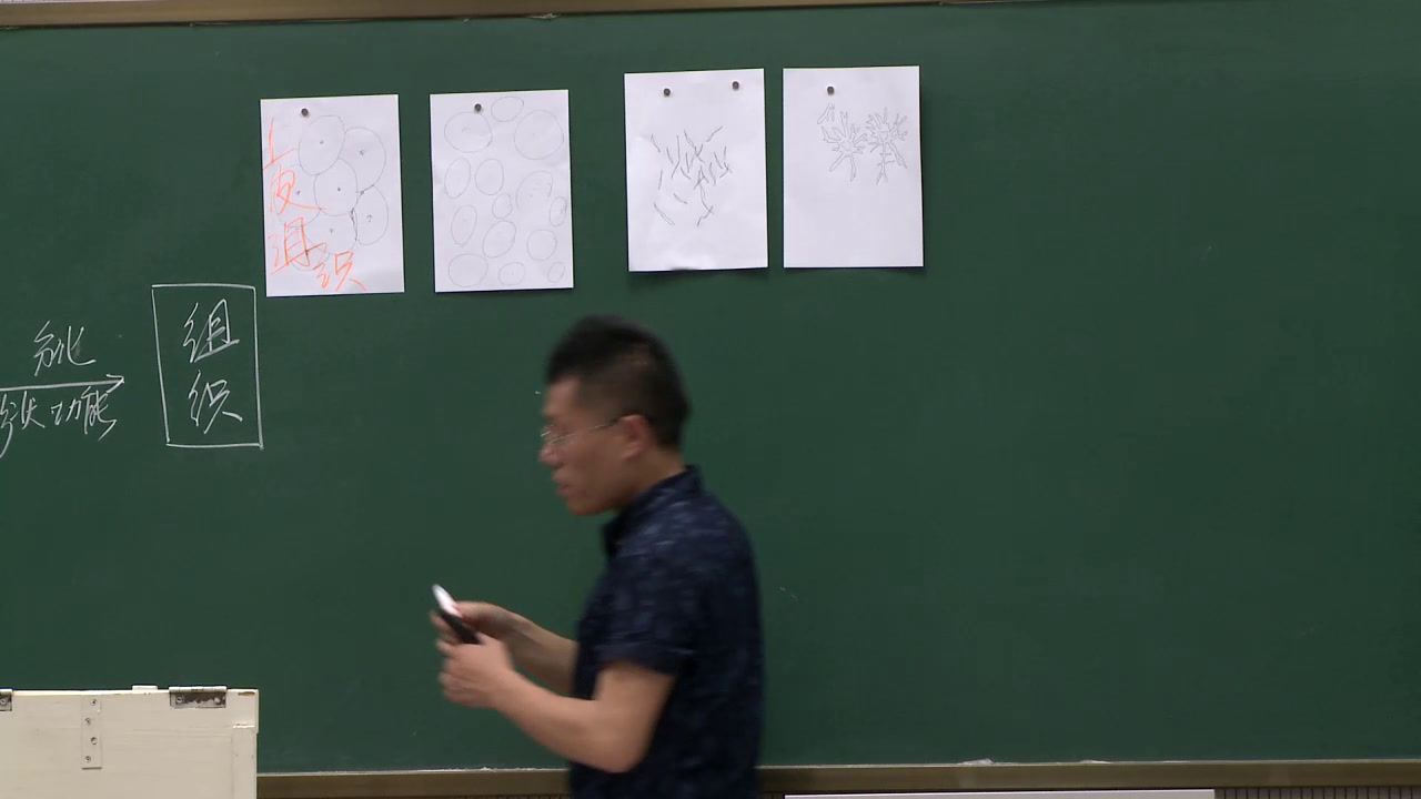 浙教版科学七上《第３节生物体的结构层次》浙江金老师-全国一等奖