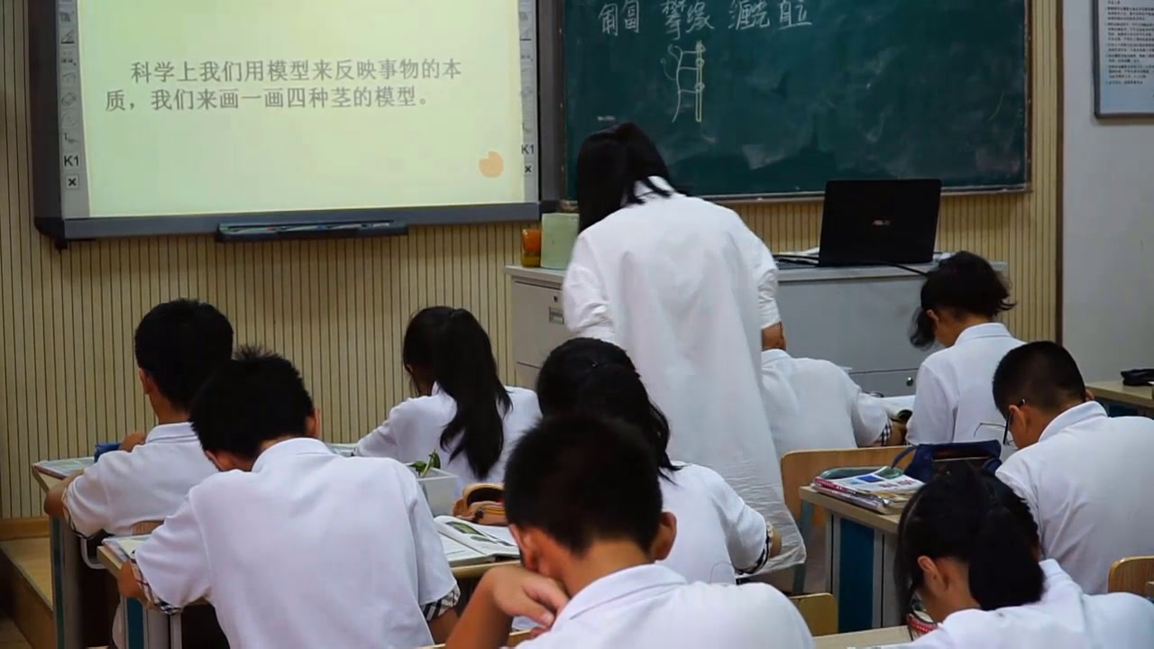 浙教版科学八下《第4节植物的茎与物质运输》浙江饶老师-全国一等奖