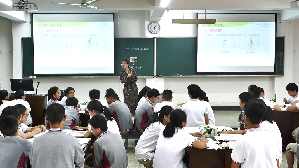 浙教版科学八下《第3节植物的根与物质吸收》浙江吴老师-省一等奖