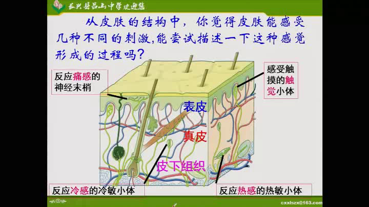 浙教版科学七下《第１节感觉世界》浙江费老师-县级优课