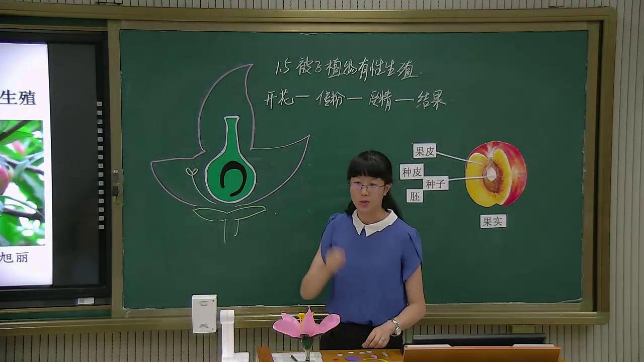 浙教版科学七下《第５节植物生殖方式的多样性》浙江姚老师-全国一等奖