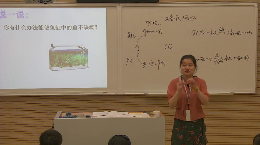 浙教版科学八下《第7节自然界中的氧循环和碳循环》浙江孙老师-县级优课