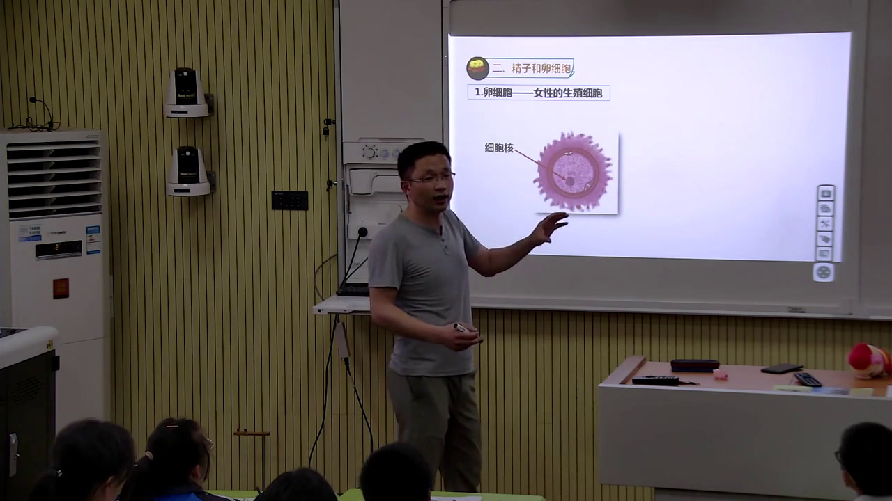 浙教版科学七下《第１节新生命的诞生》浙江叶老师-县级优课