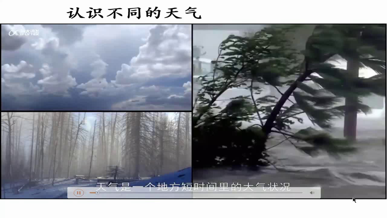 教科版科学二上《5.各种各样的天气》江苏张老师-县级优课