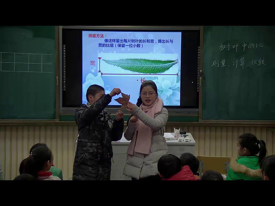 苏教版数学六上《●树叶中的比》安徽鲁老师-市一等奖