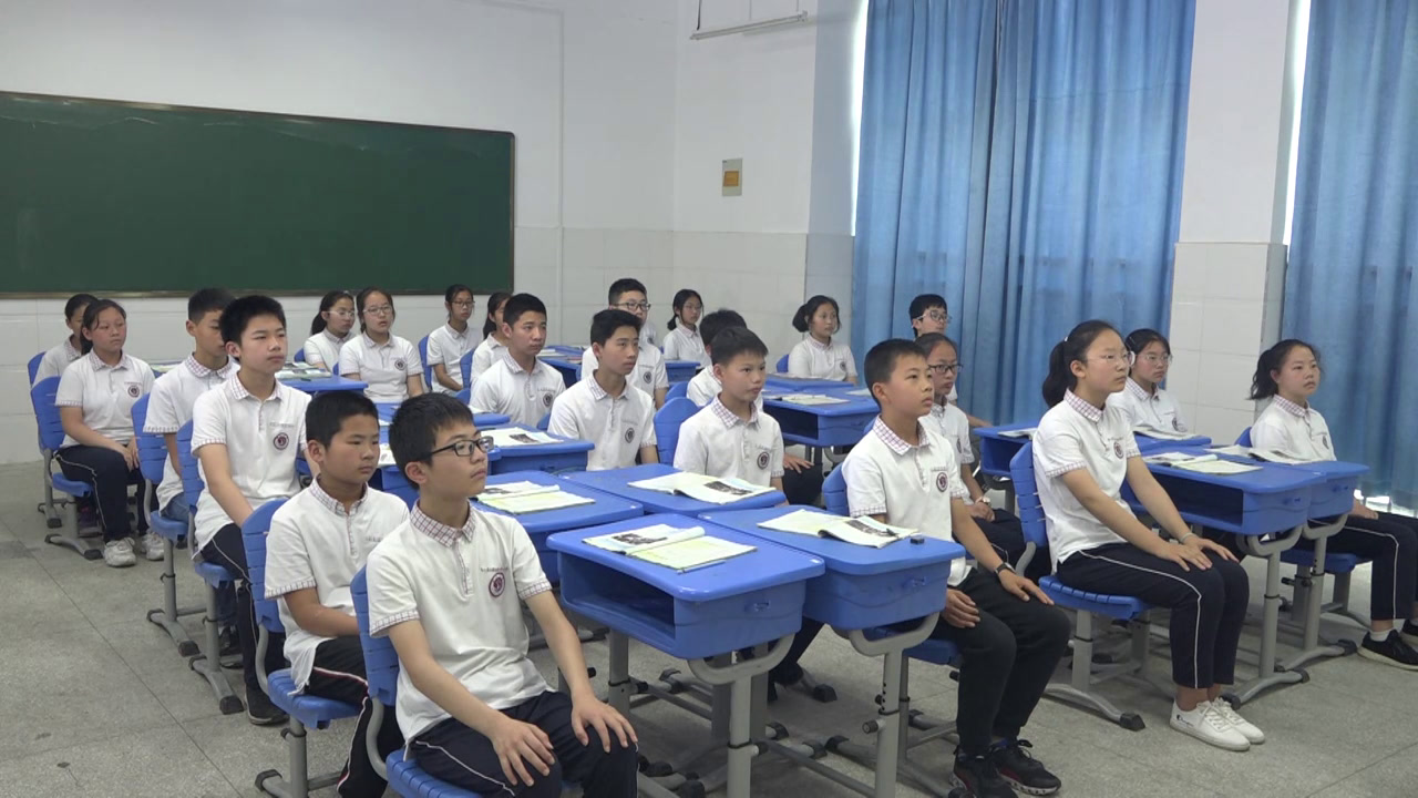 人教版音乐七下《《辛德勒名单》主题音乐》安徽朱老师-市一等奖