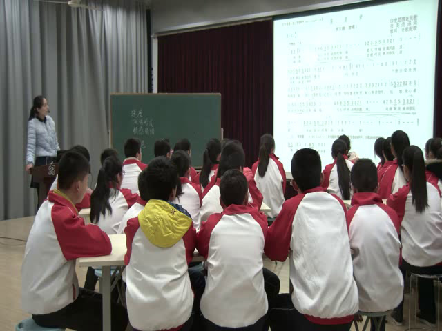 湘文艺版音乐八下《星星索》安徽丁老师-市一等奖