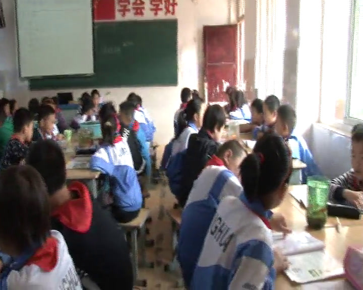 教科版科学五上《改变生态瓶》江苏李老师-市一等奖
