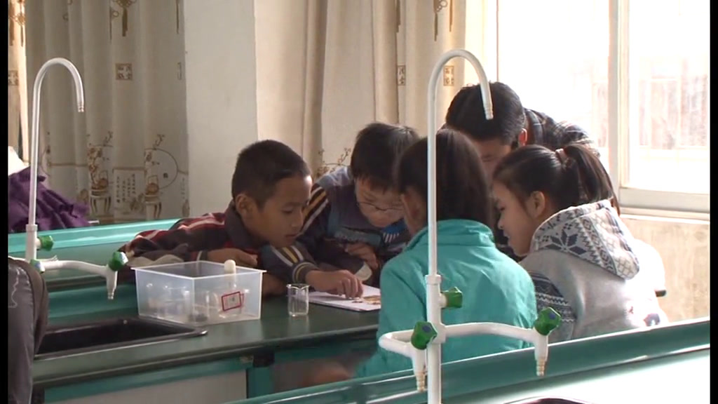 教科版科学五上《土壤中有什么》广西张老师-市一等奖