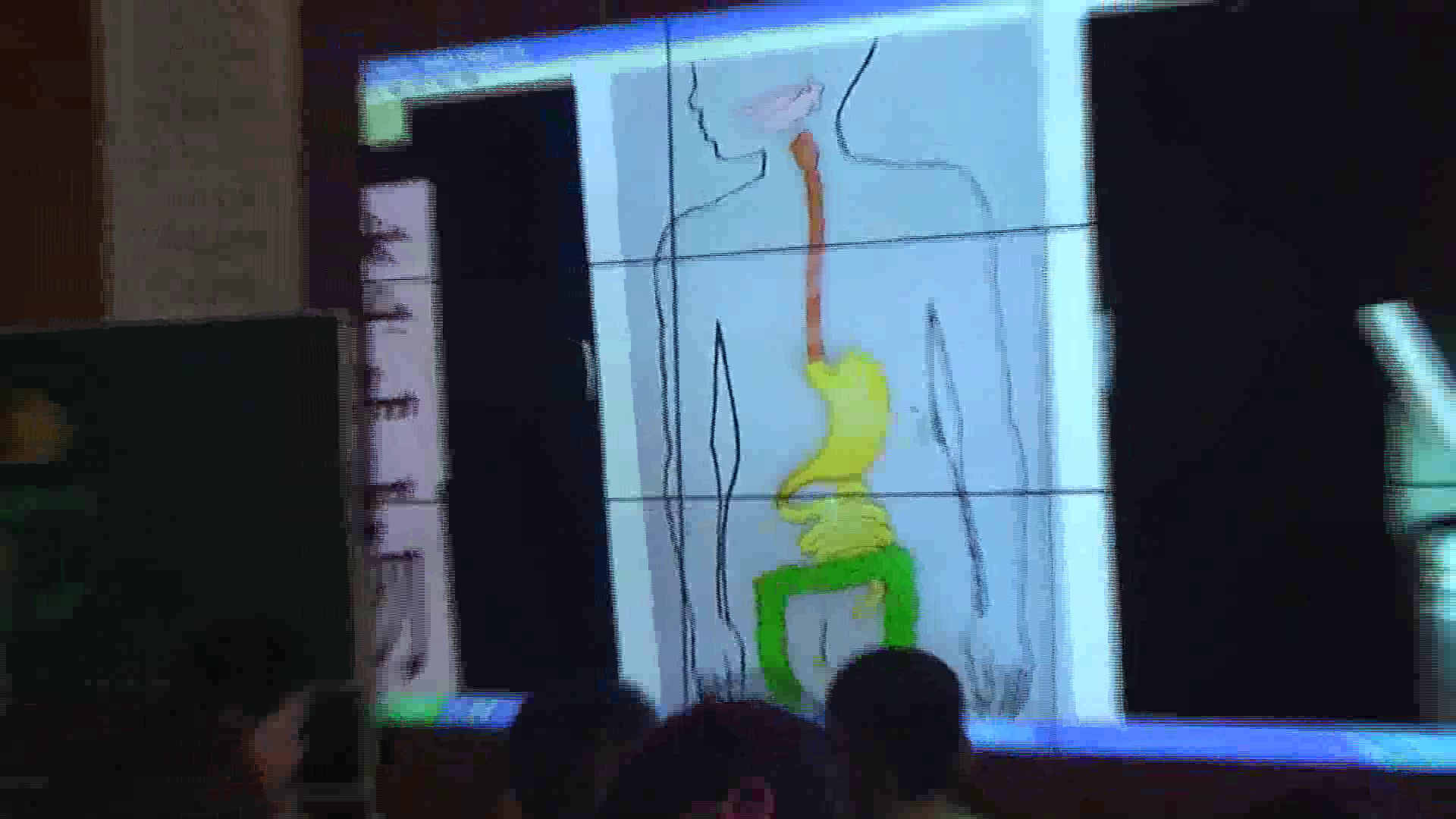 教科版科学四上《食物在体内的旅行》河北唐老师-全国一等奖