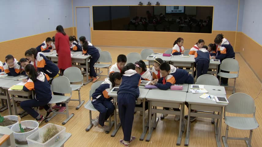 教科版科学五上《探索土地被侵蚀的因素》广西杨老师-全国一等奖
