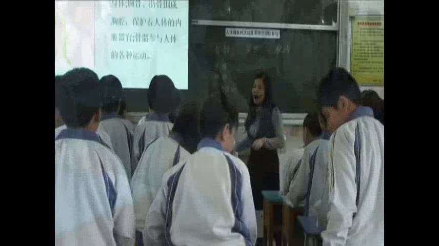 教科版科学四上《骨骼、关节和肌肉》福建何老师-省一等奖