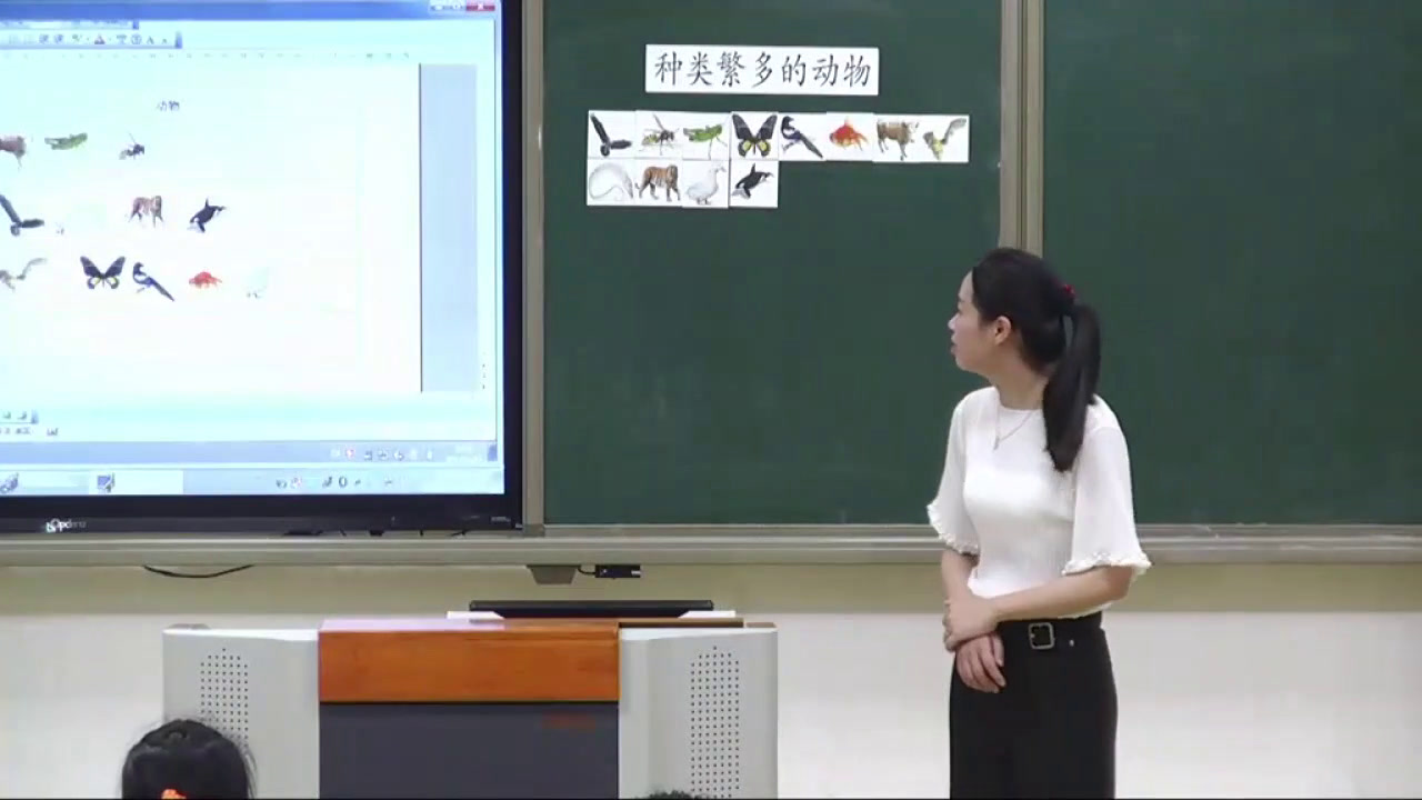教科版科学六上《4.种类繁多的动物》福建叶老师-全国一等奖