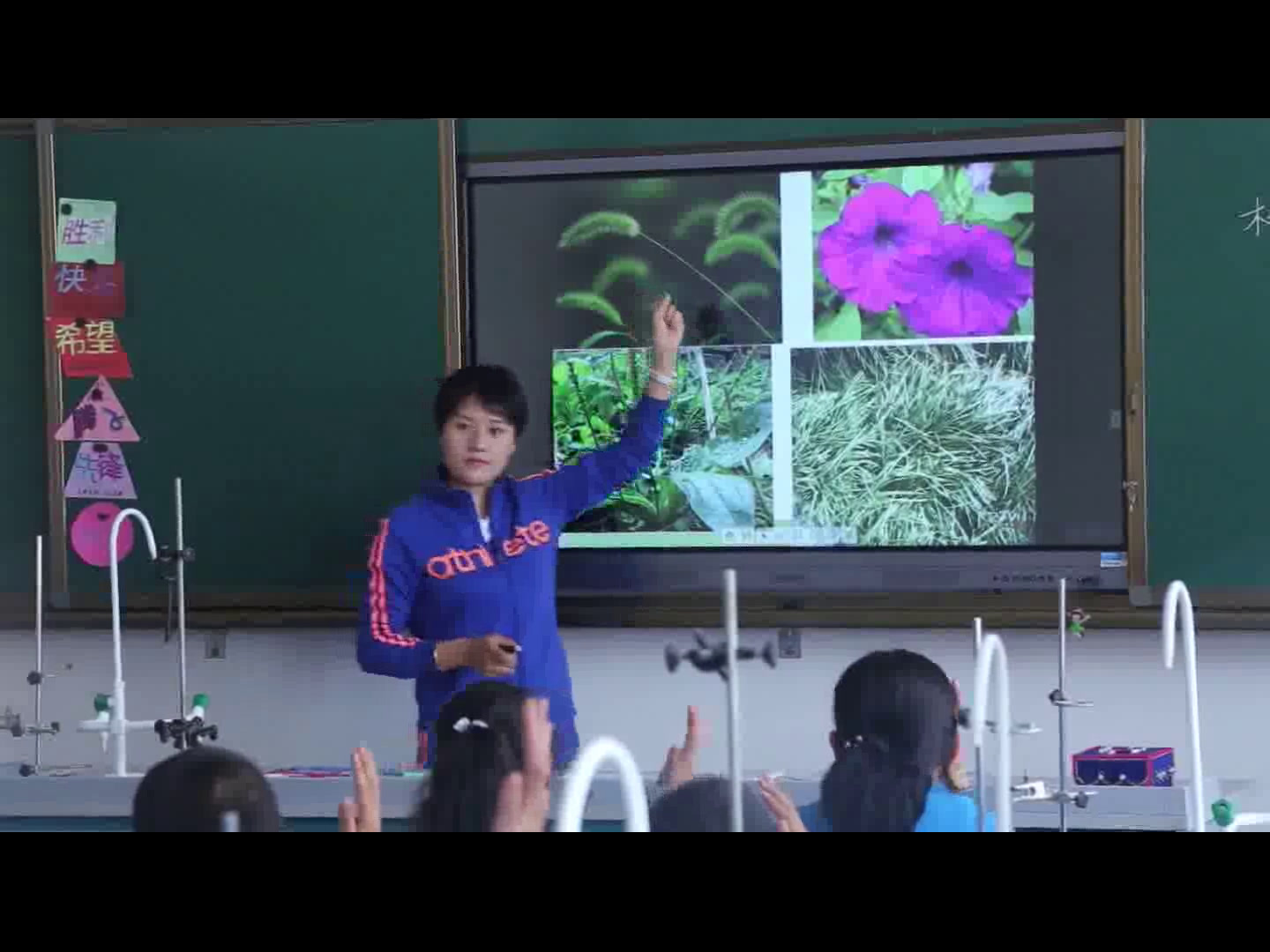 教科版科学六上《1.校园生物大搜索》甘肃张老师-市一等奖